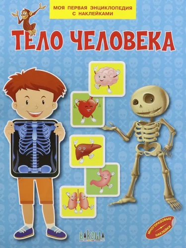 The Human Body