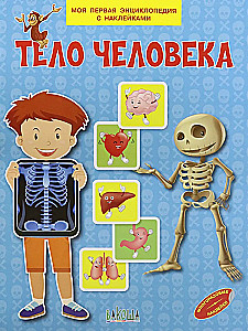 The Human Body