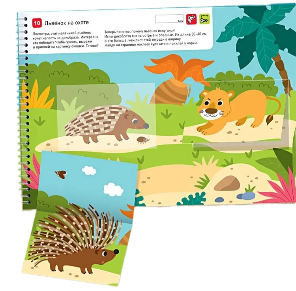 I Can! Set of 7 Workbooks. Series for 3-4 Years (in a Cardboard Box)