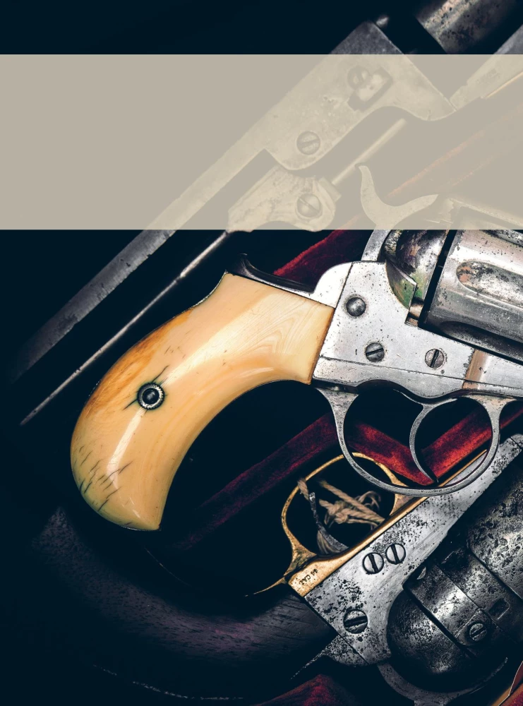 Weapons of the World: Revolvers and Pistols