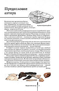 Pasaulio peiliai. Populiarus iliustruotas gidas