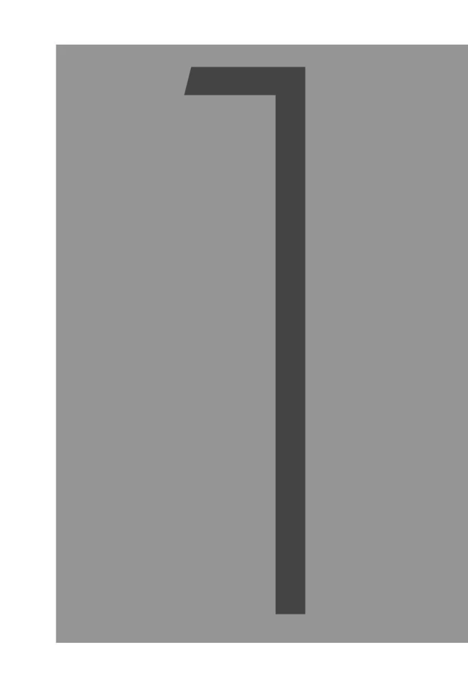 NI ZYA. A bold workbook for those who want to change habits without losing motivation