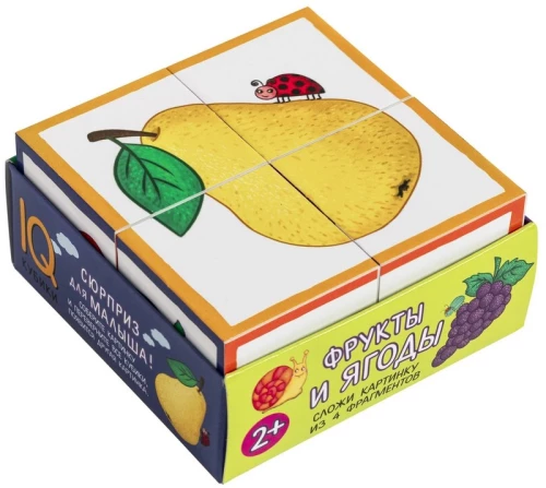 Smart Cubes in a Tray. 4 pieces. Fruits and Berries