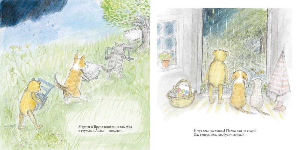 Summer of Bruno the Bear
