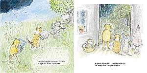 Summer of Bruno the Bear
