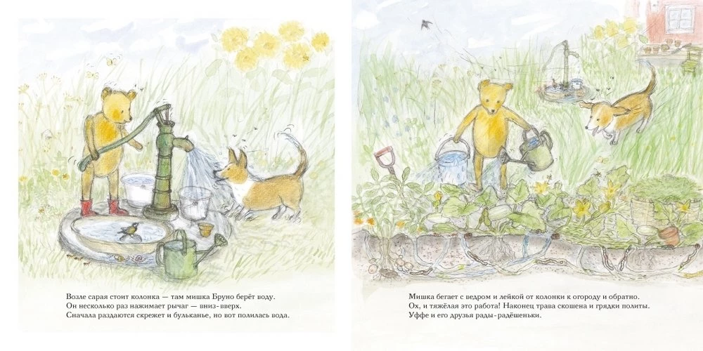 Summer of Bruno the Bear