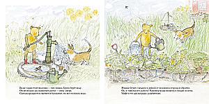 Summer of Bruno the Bear