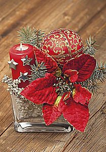 Christmas greeting card (mini)
