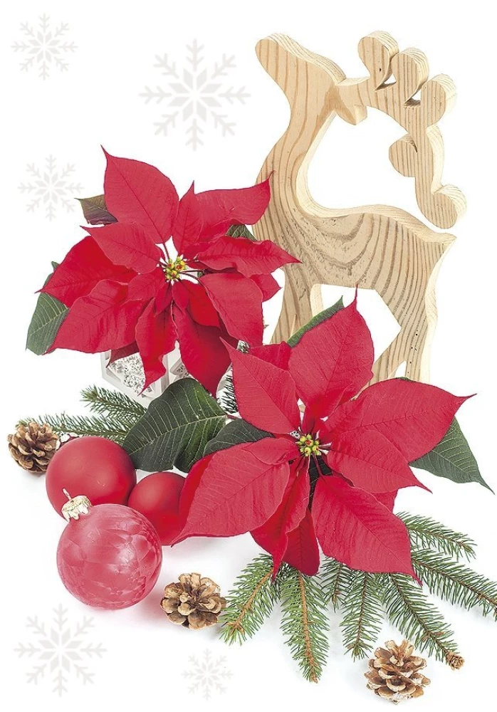 Christmas greeting card (mini)