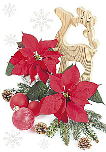 Christmas greeting card (mini)