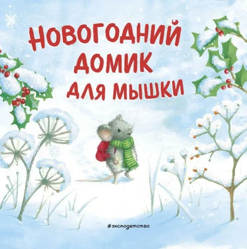 New Year's house for the Mouse