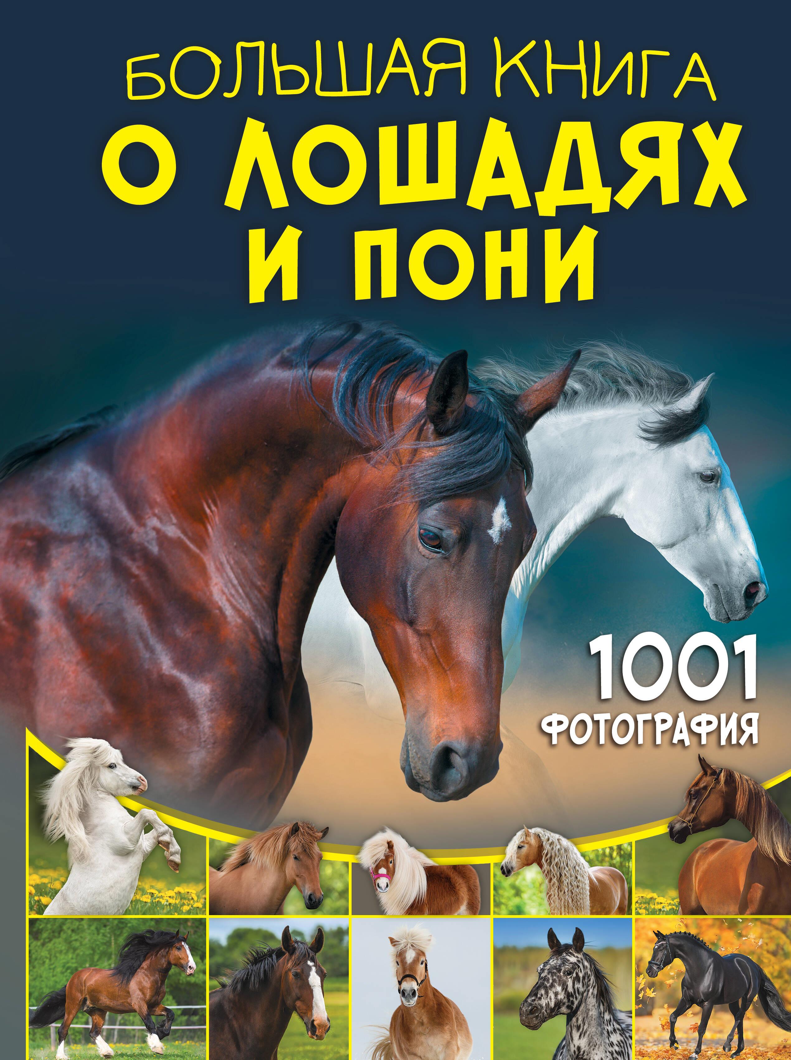 The Big Book of Horses and Ponies. 1001 Photographs