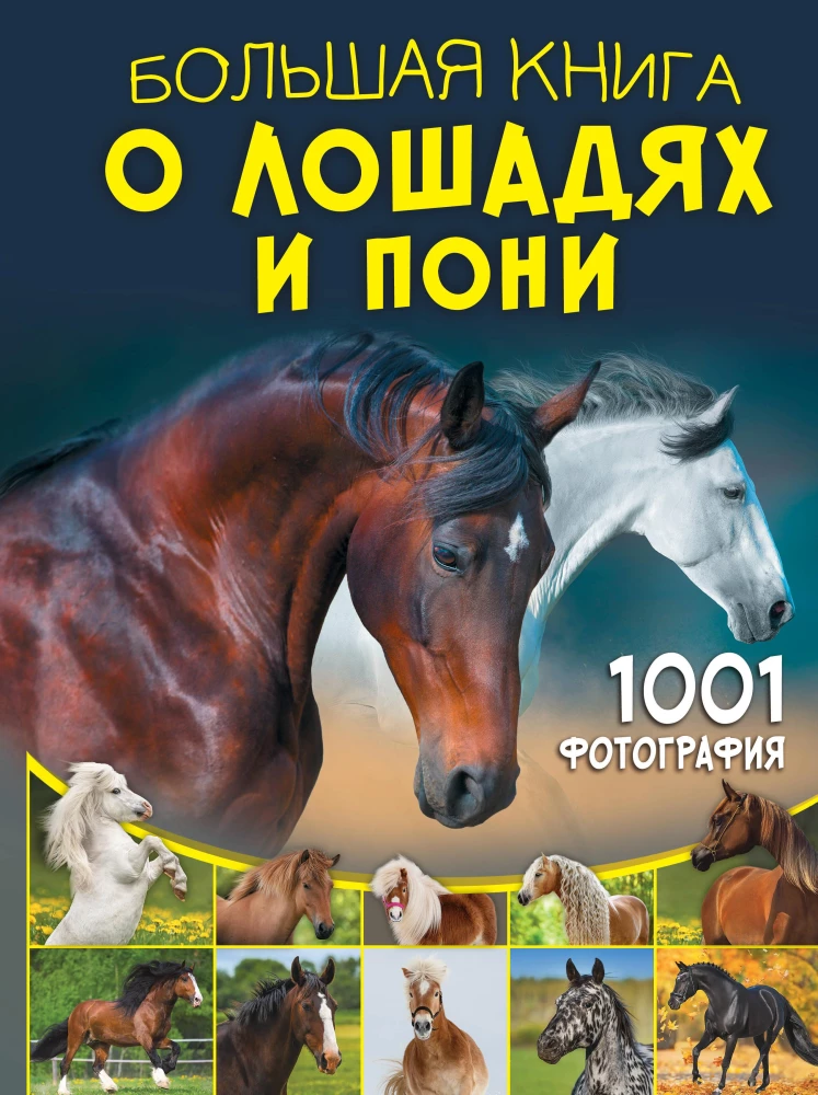 Didžioji knyga apie arklius ir ponius. 1001 nuotrauka