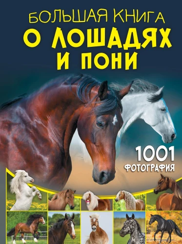 Wielka księga o koniach i kucykach. 1001 zdjęć