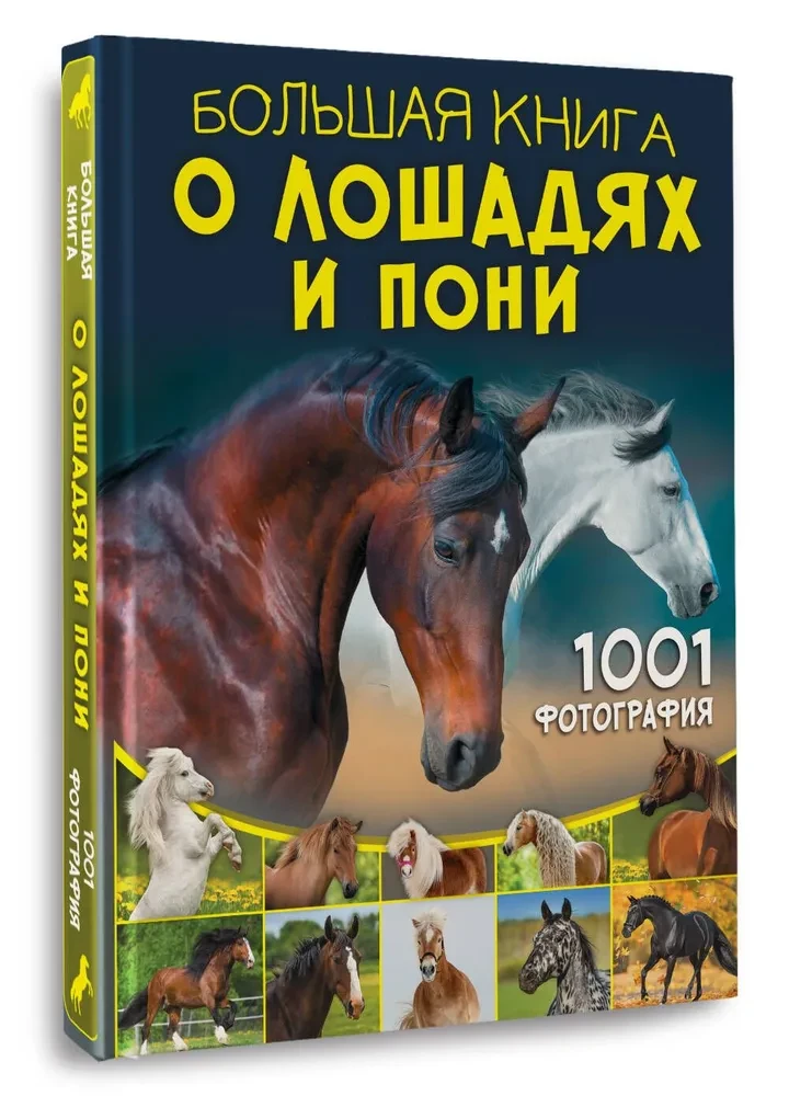 Didžioji knyga apie arklius ir ponius. 1001 nuotrauka