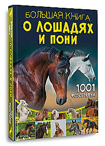 Didžioji knyga apie arklius ir ponius. 1001 nuotrauka