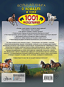 Didžioji knyga apie arklius ir ponius. 1001 nuotrauka