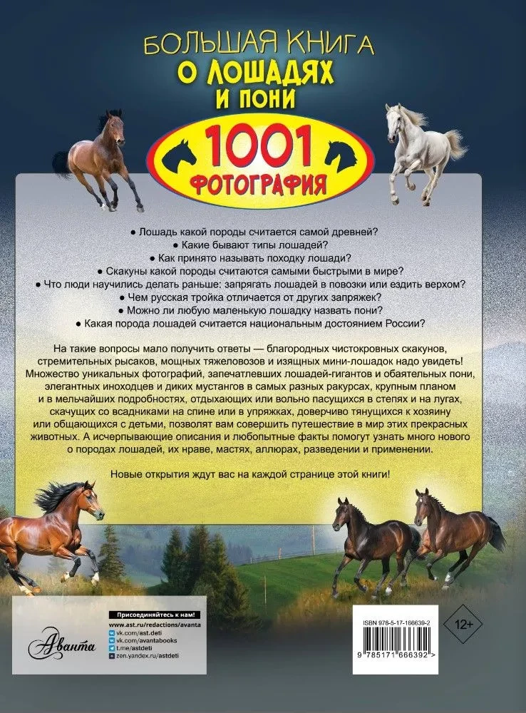 The Big Book of Horses and Ponies. 1001 Photographs