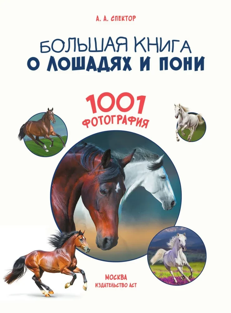 Didžioji knyga apie arklius ir ponius. 1001 nuotrauka
