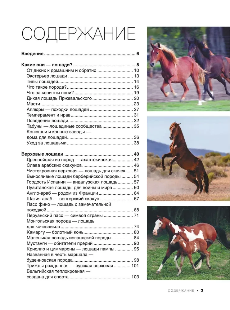 The Big Book of Horses and Ponies. 1001 Photographs