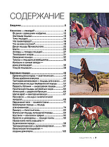 The Big Book of Horses and Ponies. 1001 Photographs
