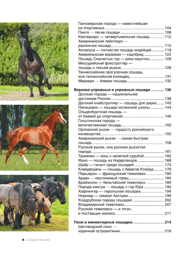 The Big Book of Horses and Ponies. 1001 Photographs