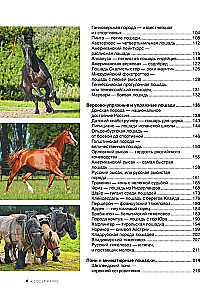The Big Book of Horses and Ponies. 1001 Photographs