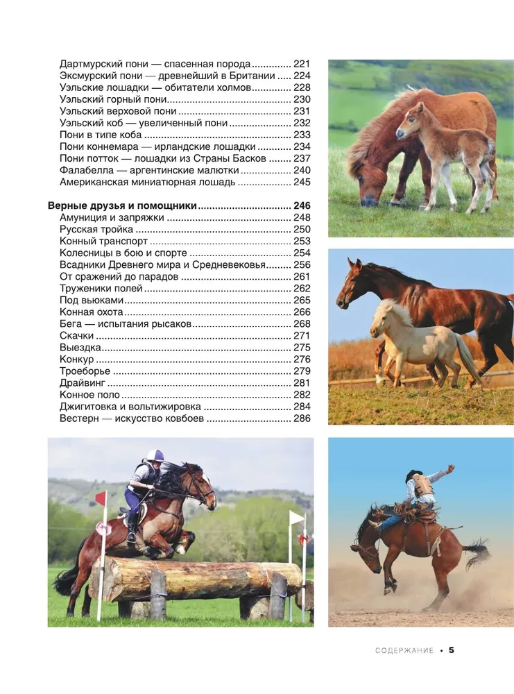 The Big Book of Horses and Ponies. 1001 Photographs