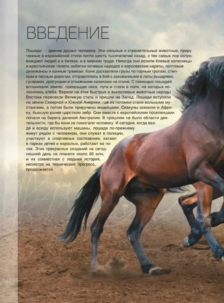 Didžioji knyga apie arklius ir ponius. 1001 nuotrauka