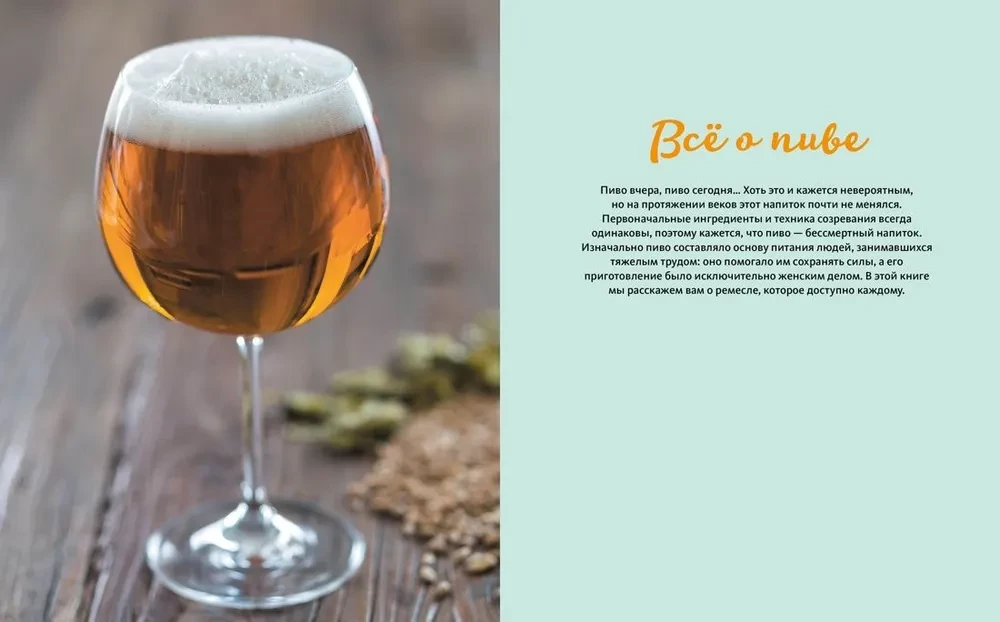 Beer Expert: Beer. The Perfect Guide to Types, Varieties, and Recipes