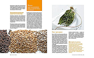 Beer Expert: Beer. The Perfect Guide to Types, Varieties, and Recipes