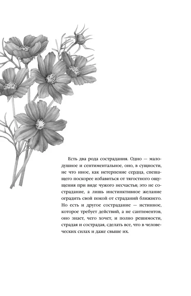 Impatience of the Heart