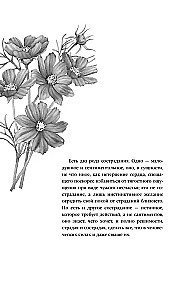 Impatience of the Heart