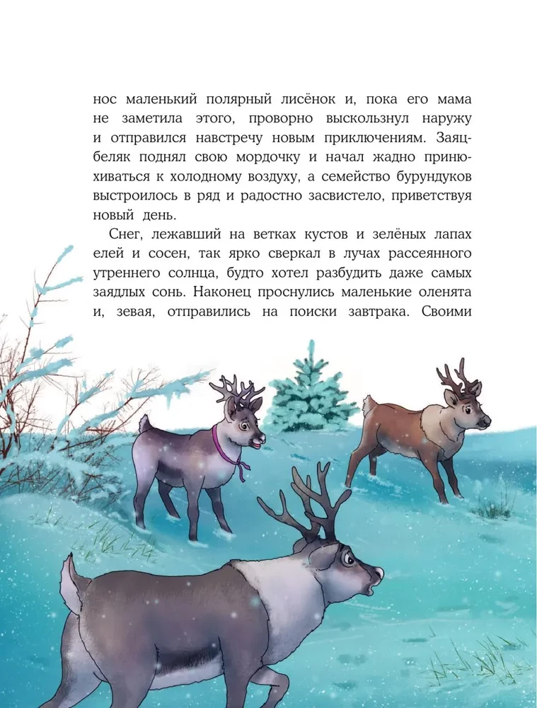Pony Skambutis. Stebuklai Šiaurės ašigalyje