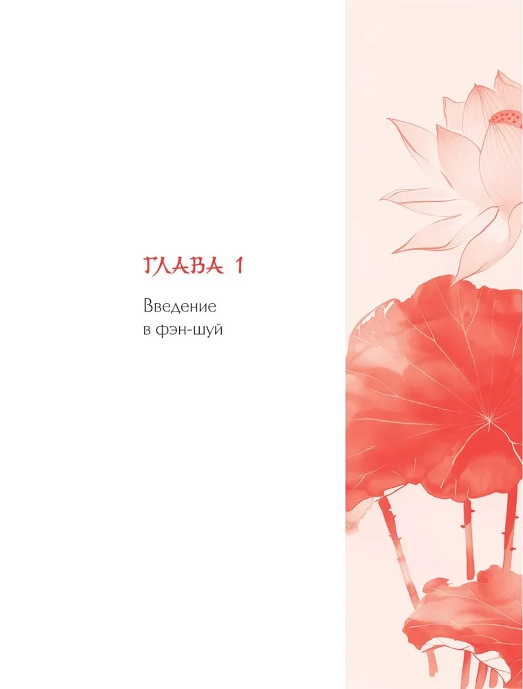 Feng Shui for Your Home and Interior. How to Properly Plan Your Space and Attract Harmony into Your Life