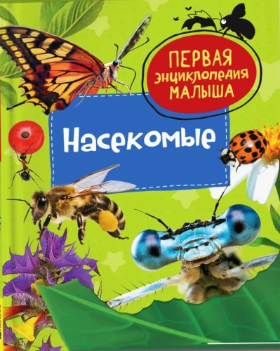 Insects. The First Encyclopedia for Little Ones