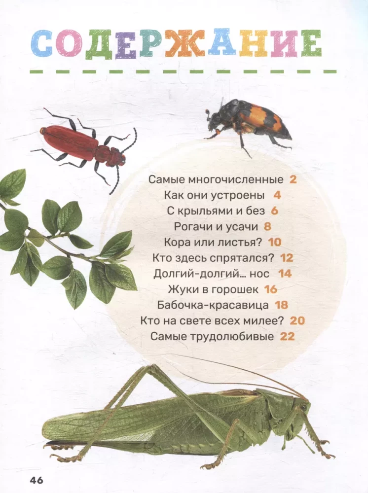 Insects. The First Encyclopedia for Little Ones