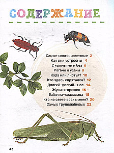 Insects. The First Encyclopedia for Little Ones