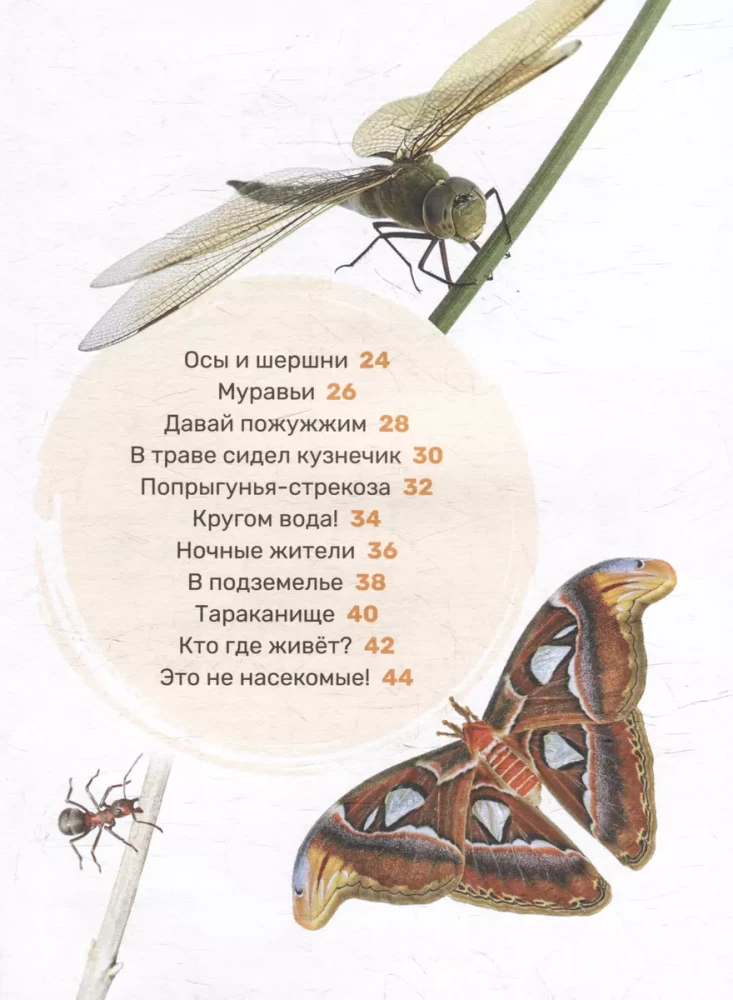 Insects. The First Encyclopedia for Little Ones