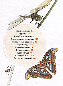 Insects. The First Encyclopedia for Little Ones