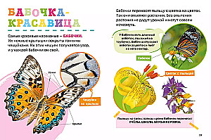 Insects. The First Encyclopedia for Little Ones