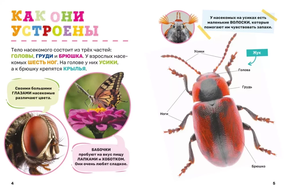 Insects. The First Encyclopedia for Little Ones