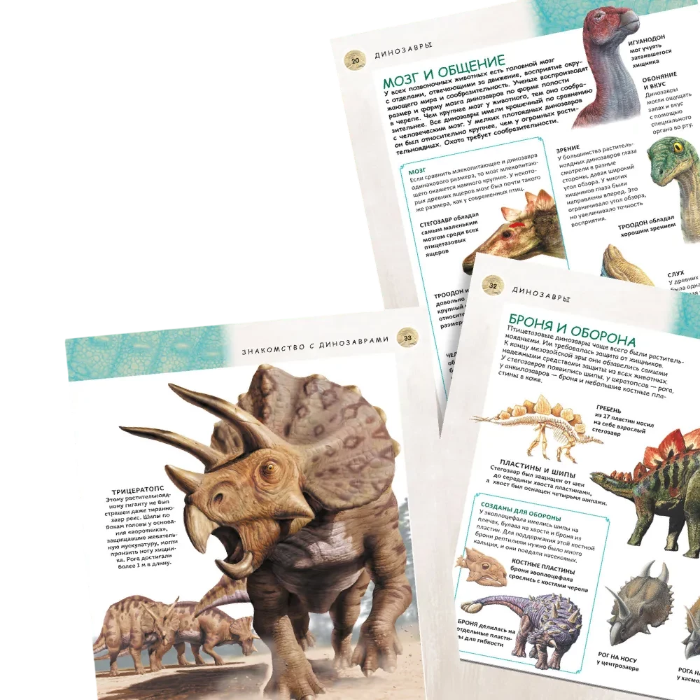 Complete Encyclopedia. Dinosaurs
