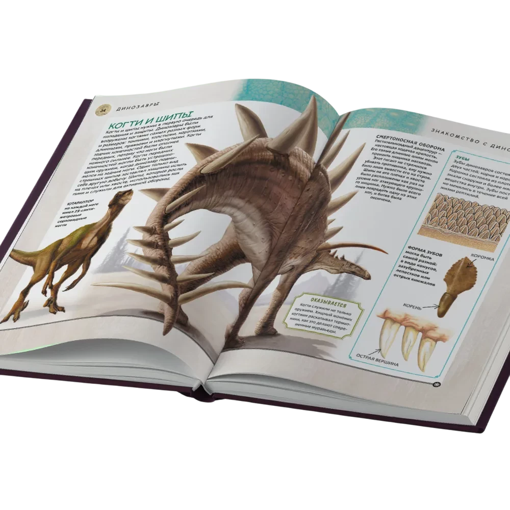 Complete Encyclopedia. Dinosaurs