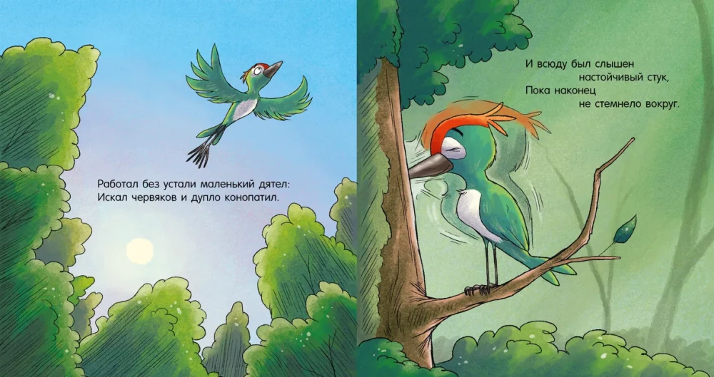 Dobranoc, leśne zwierzęta!