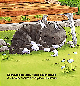 Dobranoc, piesku!