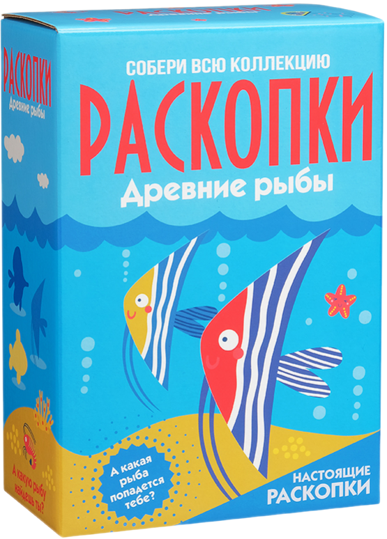 Large Excavation Set - Fish