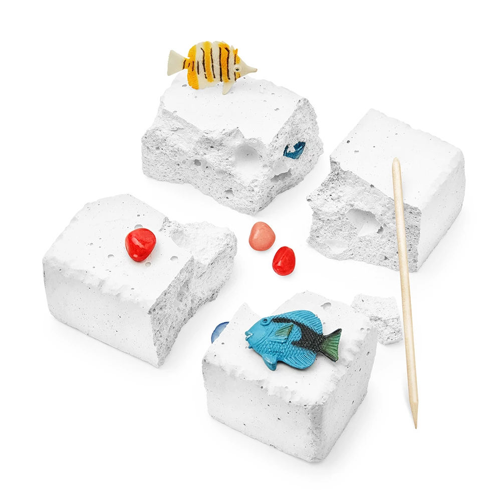 Large Excavation Set - Fish