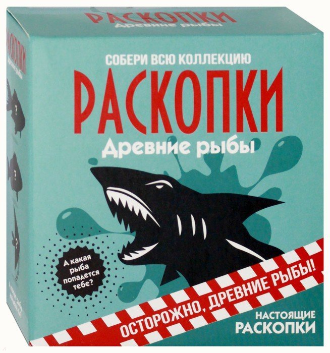 Excavation Set - Fish