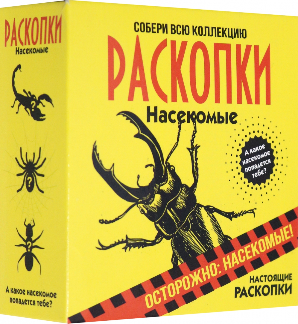 Excavation Kit - Insects